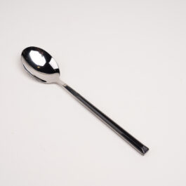 Plastic Handle Diner Spoon