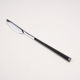 Plastic Handle Steak Knife